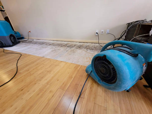 Professional Structural Drying technician working in Wayland, MI